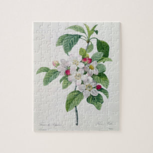 Puzzle Apple florece, del 'DES de Les Choix más bellezas