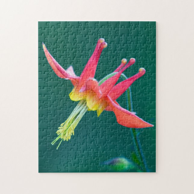 Puzzle Aquilegia roja (Vertical)