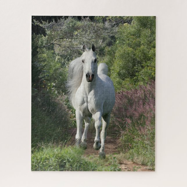 Puzzle Árabe Gris Corriendo En Camino Con Flores (Vertical)