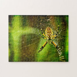 Puzzle Araña de jardín