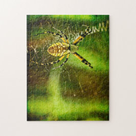 Puzzle Araña de jardín