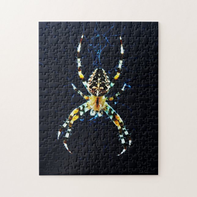 Puzzle Araña de jardín europeo 11x14 252pc jpcn (Vertical)