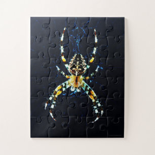 Puzzle Araña de jardín europeo 11x14 30pc jpcna