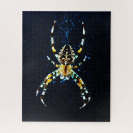 Puzzle Araña de jardín europeo 16x20 520pc jpm