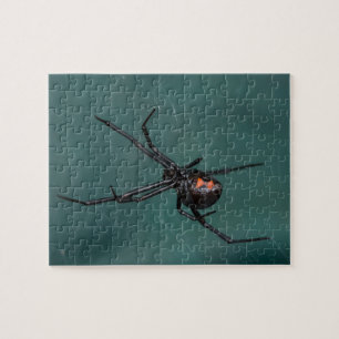 Puzzle Araña de la viuda negra