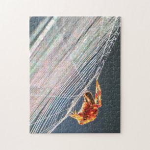 Puzzle Araña de Orb en Red 