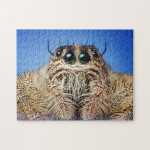Puzzle Araña de salto