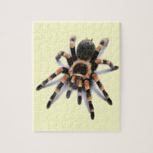 PUZZLE ARAÑA DEL TARANTULA