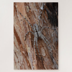 Puzzle Araña lobo
