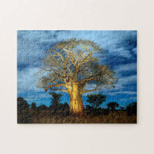 Puzzle Árbol Baobab (Adansonia) iluminado por la luna