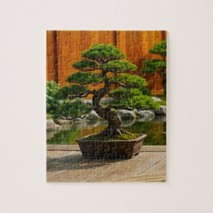 Puzzle Árbol Bonsái del Dragón de Balance