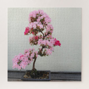 Puzzle Árbol Bonsai Rosa