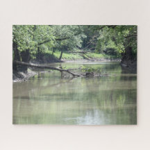 Árbol caído en el agua