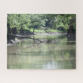 Puzzle Árbol caído en el agua
