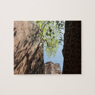Puzzle Árbol creciendo entre rocas en el Parque Nacional