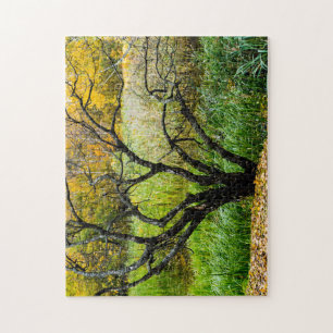 Puzzle Árbol de abedul carelio retorcido de otoño
