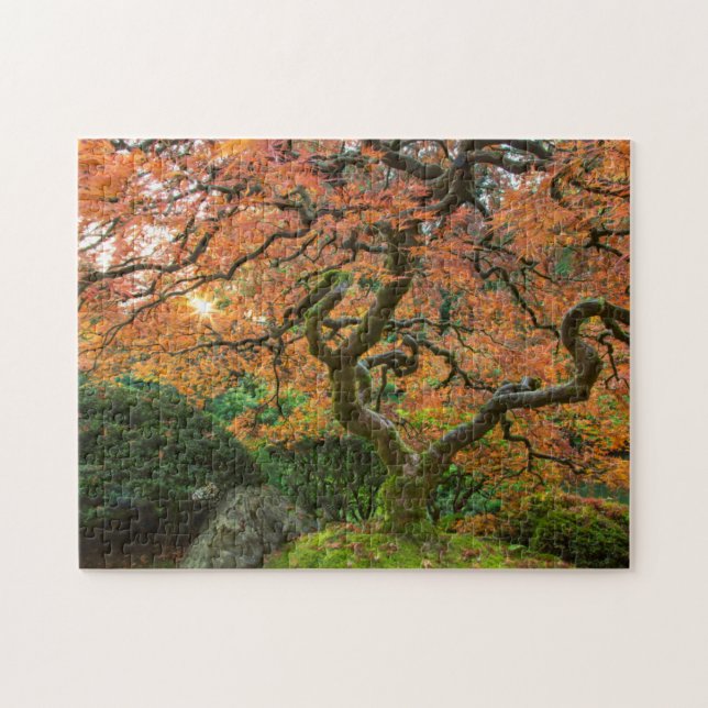 Puzzle Árbol De Arce En Los Jardines Japoneses En Otoño (Horizontal)