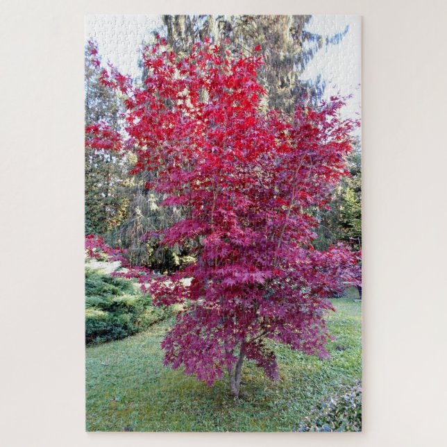 Puzzle Árbol de arce rojo hermoso (Vertical)