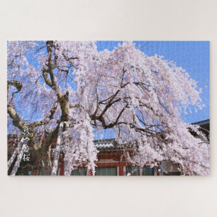 Puzzle Árbol de cerezo de llanto ("Nara Ichiban-Zakura")