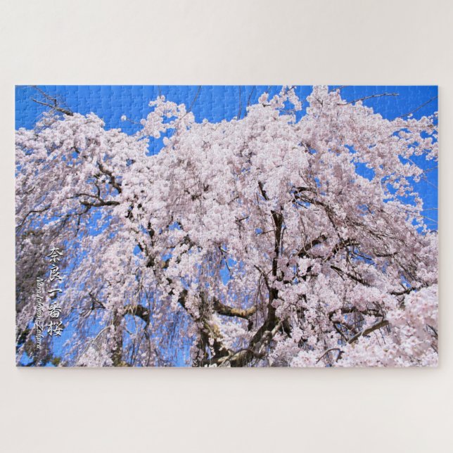 Puzzle Árbol de cerezo de llanto ("Nara Ichiban-Zakura") (Horizontal)