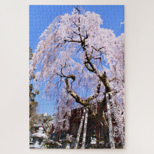 Puzzle Árbol de cerezo de llanto ("Nara Ichiban-Zakura")