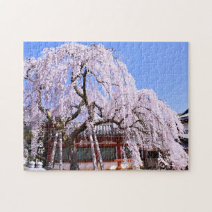 Puzzle Árbol de cerezo llorón ("Nara Ichiban-Zakura")