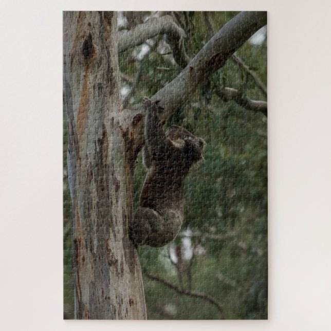 Puzzle Árbol de escalada Koala Australia, 1014 piezas (Vertical)