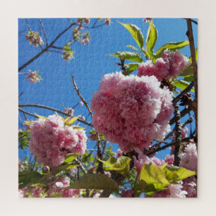 Puzzle Árbol de flores rosadas de cerezo silvestre