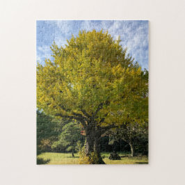 Puzzle Árbol de Ginkgo del Amarillo Dorado
