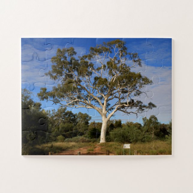 Puzzle Árbol de goma fantasma, Australia del exterior (Horizontal)
