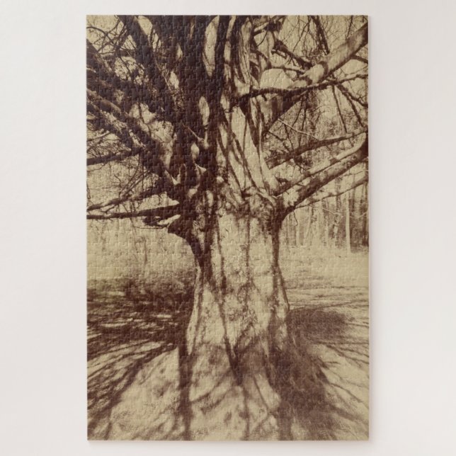 Puzzle Árbol de haya (por Eugène Atget) (Vertical)