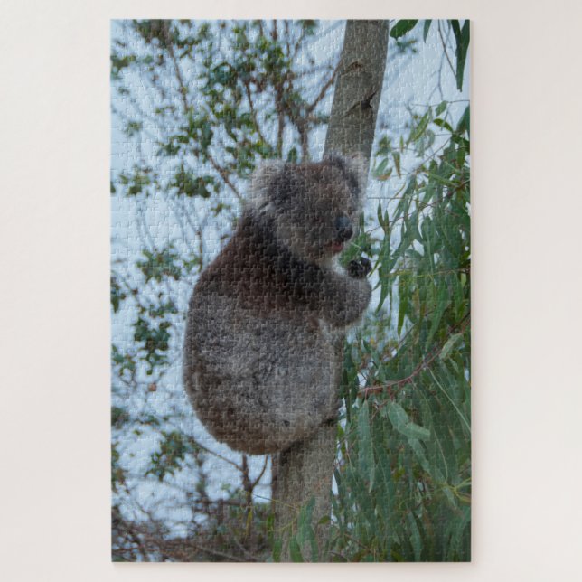Puzzle Árbol de Koala, isla de canguro de Australia, 1014 (Vertical)