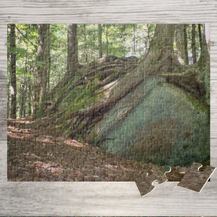 Puzzle Árbol de la Resiliencia de la Naturaleza en Boulde