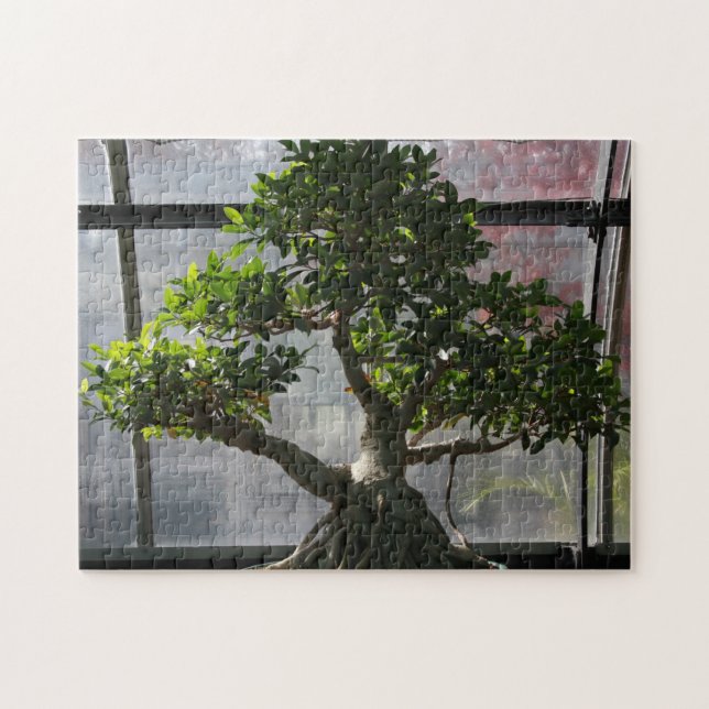 Puzzle Árbol de los bonsais (Horizontal)