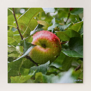 Puzzle árbol de manzana difícil bosque verde temporada co