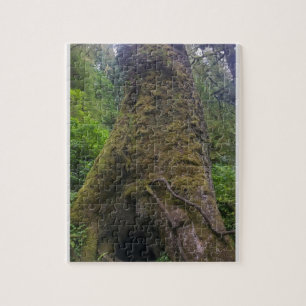 Puzzle Árbol de mojigón gigante, Cabo Perpetua, Oregón