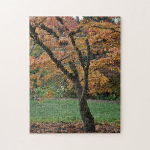 Puzzle Árbol de otoño dorado
