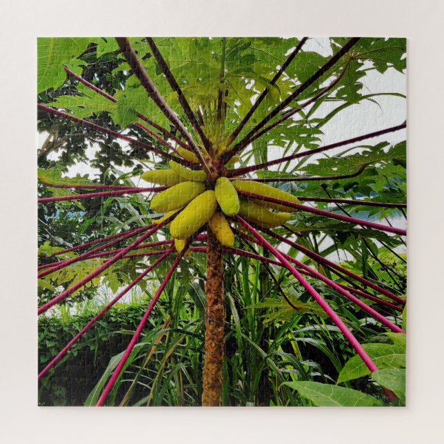Puzzle Árbol de papaya (Vertical)