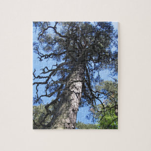 Puzzle Árbol de pino en cielo azul, Palanga, LITUANIA -