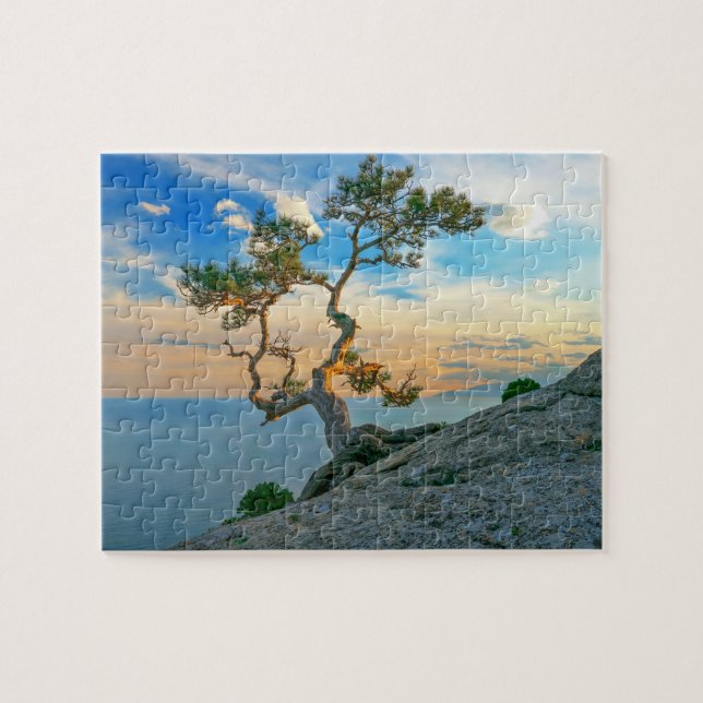 Puzzle Árbol De Pino Sobre Rocas Paisaje Natural Océano A (Horizontal)