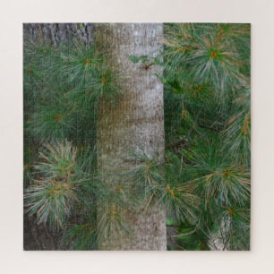 Puzzle Árbol de pinos único