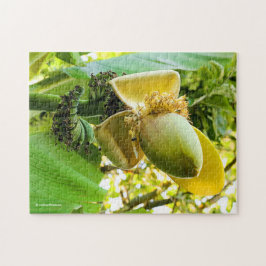 Puzzle Árbol de plátanos con frutas de plátano