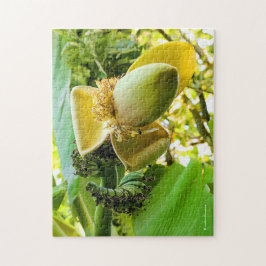 Puzzle Árbol de plátanos con frutas de plátano