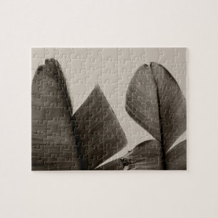 Puzzle Árbol de plátanos sale de Sepia
