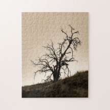 Árbol de roble otoñal