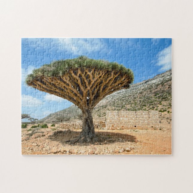 Puzzle Árbol de sangre de dragón, isla de Socotra, Yemen (Horizontal)