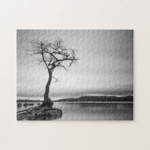 Puzzle Árbol desnudo solo