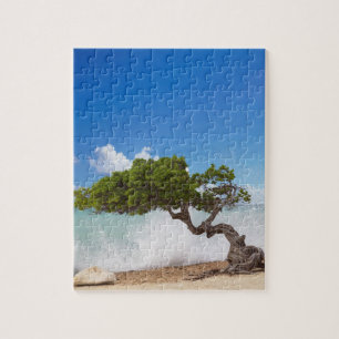 Puzzle Árbol Divi Divi, Playa Eagle, Aruba, Caribe