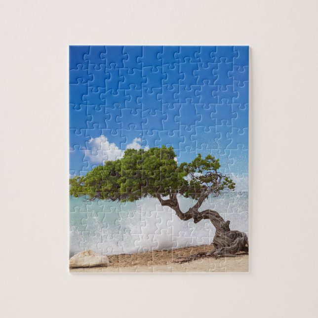 Puzzle Árbol Divi, Eagle Beach, Aruba, Caribe (Vertical)