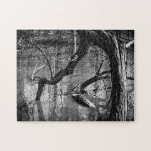 Puzzle Árbol en el agua, fotografía oscura del horror,